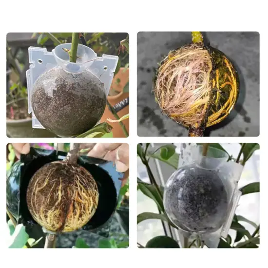 Gartenpflanze Wurzelkugel Inkubator Hochdruck Inkubator Gepfropfter Baum Wurzelung Sämling Anbau Ball Klein Mittel 3