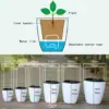 Fauler Blumentopf, selbstbewässernde Pflanze, Blumentopf, Pflanzgefäß für erdloses Pflanzen von Blumen, Tischplatte, Bonsai-Dekoration, Hausgartenbedarf 4