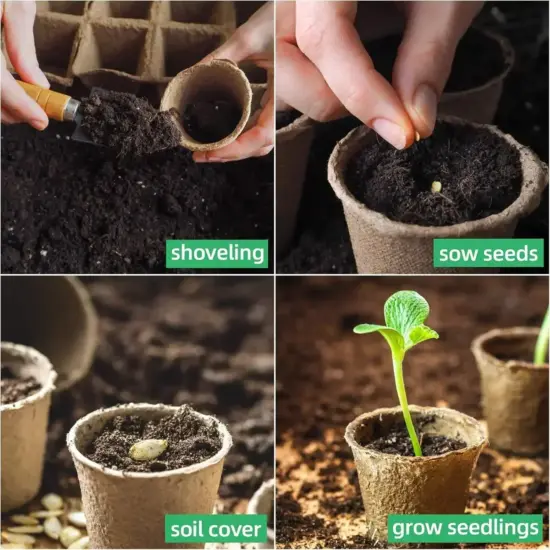 Kokos-Kokos-Samen-Starter, Pflanztöpfe, biologisch abbaubare Kindergartentöpfe, Setzlingstöpfe, Keimschalen, Etiketten, Samen, Aussaat 4
