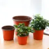 10 stücke Dünne abschnitt Blumentopf Kunststoff Wachsen Box Herbst Beständig Tablett Für Garten Pflanzen Kindergarten Tasse Transplantation Blume Blumentöpfe