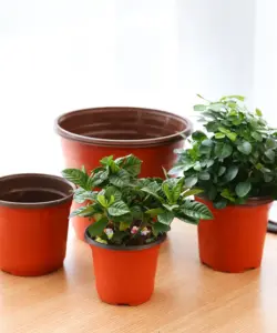 10 stücke Dünne abschnitt Blumentopf Kunststoff Wachsen Box Herbst Beständig Tablett Für Garten Pflanzen Kindergarten Tasse Transplantation Blume Blumentöpfe