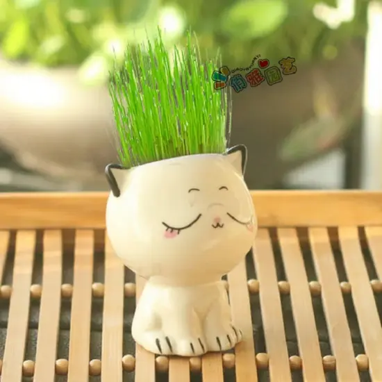 Keramik Blumentopf Mini Katze geformt Cartoon niedlichen Topfpflanze Desktop Topf Ausdruck Katze Pflanze Topf Schreibtisch dekorieren kleine Ornament 5