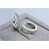 Schnelle Schiff Neueste Luxus Romantische Frauen Schmuck 925 Sterling Silber Überzogene Strass Kristall Creolen Für Frauen Großhandel 5