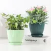 Kunststoff-Blumentopf, Sukkulenten-Topf mit Tablett, grüner Dill, rund, doppelschichtig, kleiner Blumentopf, Heimbüro, Desktop-Dekoration 3