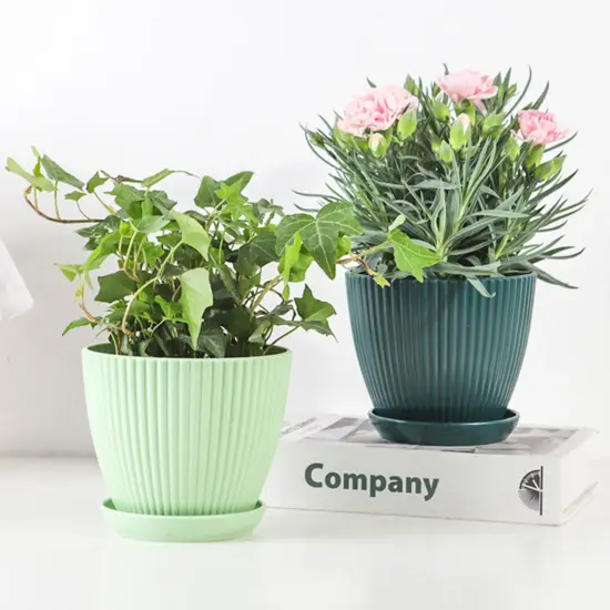 Kunststoff-Blumentopf, Sukkulenten-Topf mit Tablett, grüner Dill, rund, doppelschichtig, kleiner Blumentopf, Heimbüro, Desktop-Dekoration 3