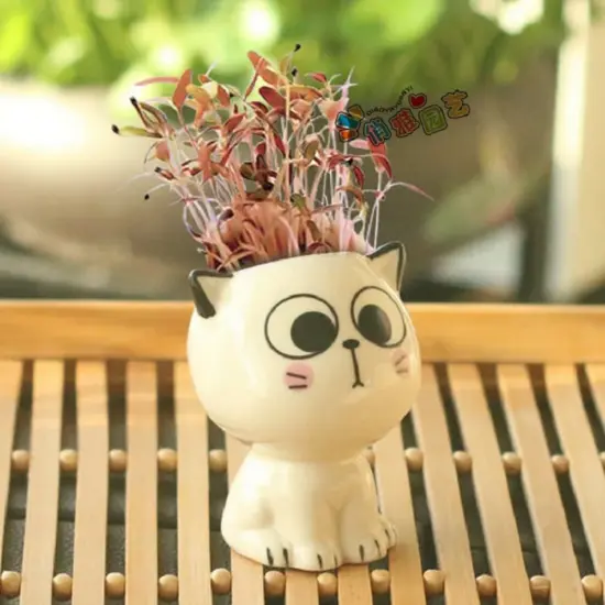 Keramik Blumentopf Mini Katze geformt Cartoon niedlichen Topfpflanze Desktop Topf Ausdruck Katze Pflanze Topf Schreibtisch dekorieren kleine Ornament 3