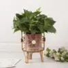 Hohler Blumenständer, handgewebt, Nachahmung von Rattan, Pflanzenständer, Desktop, kreativer Blumentopfständer, Balkon-Pflanzgefäß mit Holzbeinen 2