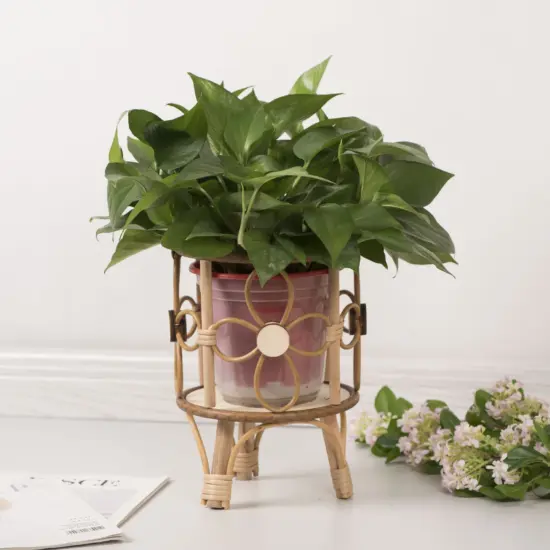 Hohler Blumenständer, handgewebt, Nachahmung von Rattan, Pflanzenständer, Desktop, kreativer Blumentopfständer, Balkon-Pflanzgefäß mit Holzbeinen 2