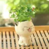 Keramik Blumentopf Mini Katze geformt Cartoon niedlichen Topfpflanze Desktop Topf Ausdruck Katze Pflanze Topf Schreibtisch dekorieren kleine Ornament 2