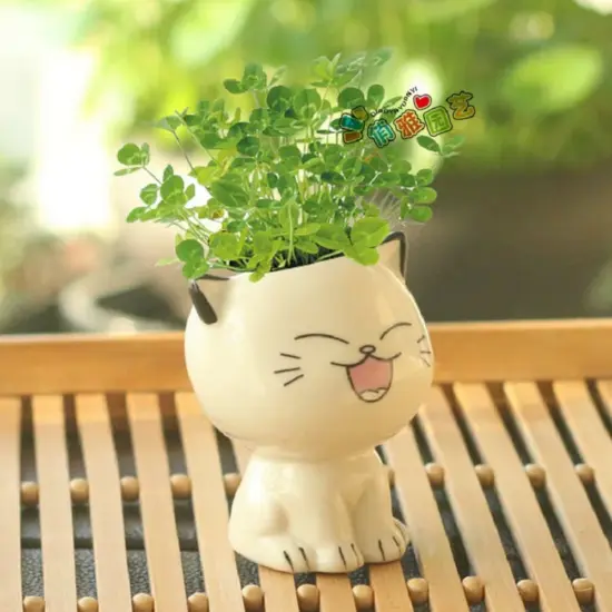 Keramik Blumentopf Mini Katze geformt Cartoon niedlichen Topfpflanze Desktop Topf Ausdruck Katze Pflanze Topf Schreibtisch dekorieren kleine Ornament 2