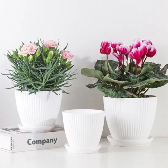 Kunststoff-Blumentopf, Sukkulenten-Topf mit Tablett, grüner Dill, rund, doppelschichtig, kleiner Blumentopf, Heimbüro, Desktop-Dekoration 2